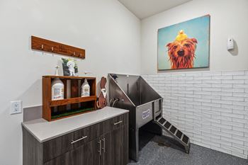 a laundry room with a washing machine and a painting of a dog on the wall